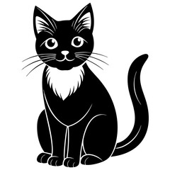 black and white cats