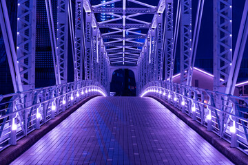 美しく紫に輝く橋