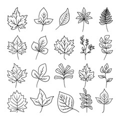 set of autumn leaves vector