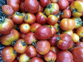 The tomato is the edible berry of the plant Solanum lycopersicum, commonly known as the tomato plant. The species originated in western South America, Mexico, and Central America. 