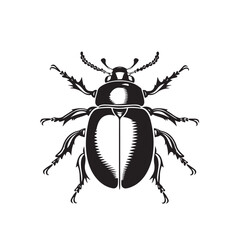 Detailed Black and White Beetle Vector Art on Transparent Background for Design Projects