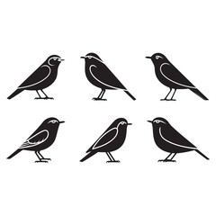 Birds Vector illustration silhouette image icon design