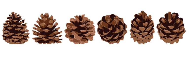 Set of pine cones of various shapes isolated on white background. Hand drawn Christmas decor.