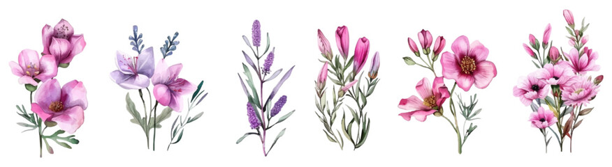 Watercolor pink wild flowers png. Collection of botanical garden elements. Vector isolated illustration in vintage style