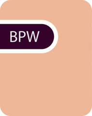 BPW File icon black fill and empty for symbol