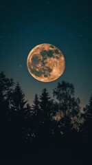 Fototapeta premium Night sky with yellow full moon surrounded by stars, casting orange glow. Treetops darkened, some illuminated by moonlight. Mix of evergreen and deciduous trees.