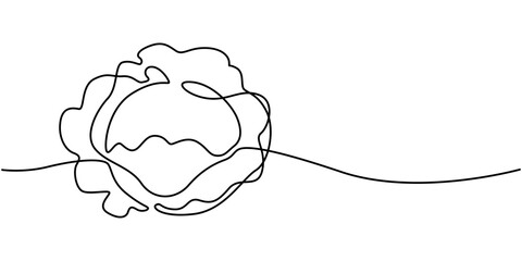 Cabbage head, cole simple vector illustration for background. One line drawing art illustration with lettering organic cabbage, One single line drawing cut sliced healthy organic headed cabbage