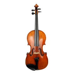 Obraz premium Old violin on a white background