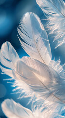 Naklejka premium A few white feathers dancing in the sky, with a blue background, close-up shots of feathers, and a minimalist composition style.