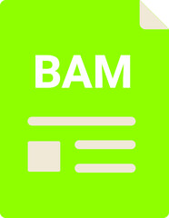 BAM file icon with symbols