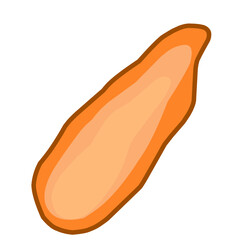 illustration of a carrot