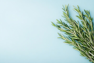 Fresh rosemary sprigs on a light blue background, ideal for culinary use or decoration.