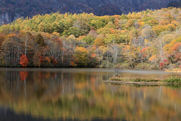 戸隠紅葉の鏡池