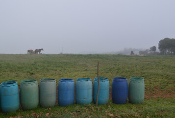 Horses in the fog with colorful sparklers in the foreground