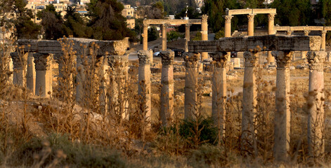 Roman columns on the ancient Column Street in the historic city of Jerash in northern Jordan