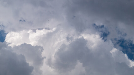 Blue sky and fluffy clouds after rain