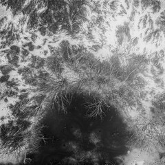 fineart nature and landscape in black&white