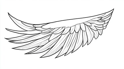 A single wing with detailed feathers in black and white line art style.