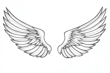 Obraz premium A pair of detailed, outstretched angel wings, drawn in black ink against a white background.
