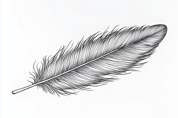 A single black and white line drawing of a feather isolated on a white background.
