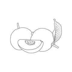 Guava simple logo design