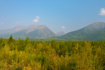 Fototapeta premium Landscape of green forest and mountains under blue sky