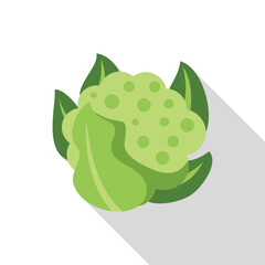 Bright green head of cauliflower with large leaves growing out from the bottom, isolated on white background