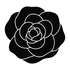 camellia flower vector illustration
