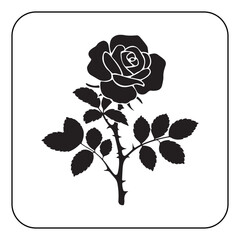 Vintage Flower Design with Classic Botanical Illustrations
