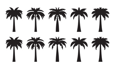 set of Tropical palm trees silhouettes vector