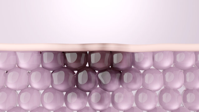 Melasma and Dark spot removal Illustration for Skincare Products. 3D rendering