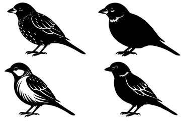 Sparrow bird vector art silhouette illustration