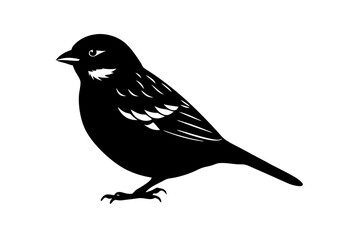 Sparrow bird vector art silhouette illustration
