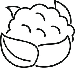 Simple line art illustration of a cauliflower, emphasizing its organic form and freshness