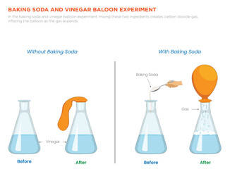Baking Soda and Vinegar Balloon Experiment Inflate a balloon using simple chemical reactions © Papia