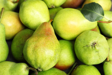 Many fresh ripe pears as background, closeup