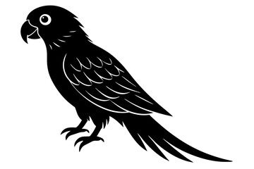 Parrot vector art silhouette illustration
