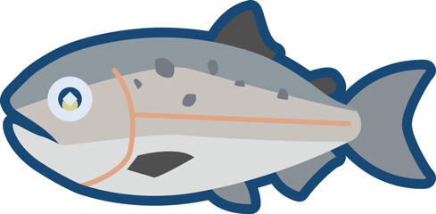 かわいいマスノスケ（キングサーモン）のイラスト