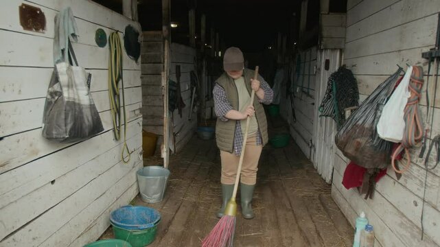 Zoom in of female farmer with Down syndrome wearing casual warm clothes holding broom and cleaning the straw-covered floor in equine stall on farm