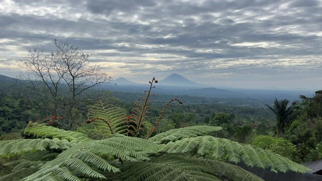 bali mountain nature morning clouds