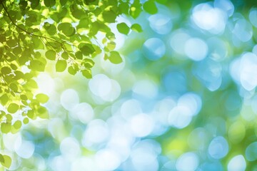 Obraz premium Blur background of a green tree lit by nature's light and bokeh from the sky