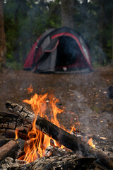 camping tent, bonfire in the forest