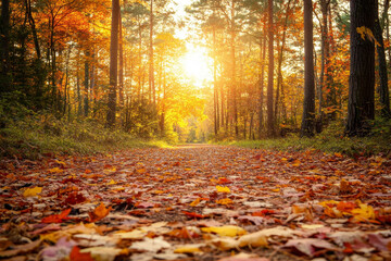 A serene forest path covered in a blanket of colorful autumn leaves, with a gentle breeze making the leaves dance, under the soft, golden light of the setting sun