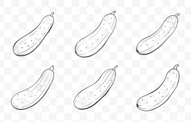 Print Cucumber Line Art Vector Set with Intricate Details for Botanical Illustrations and Creative Design Projects