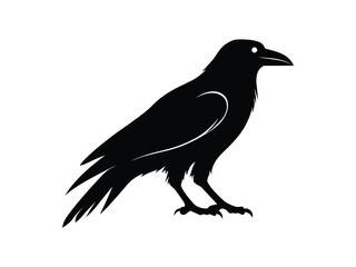 Raven and Crow Silhouette Vector Set - Spooky Gothic Bird Clipart for Halloween, Dark Aesthetic, and Wildlife Designs.