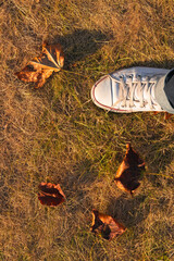 A lone sneaker stands on parched earth, framed by scattered brown leaves during the magical light of autumn.