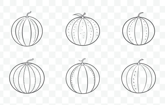 Print Detailed Cantaloupe Line Art Vector Set with Various Illustrations for Creative Design Projects
