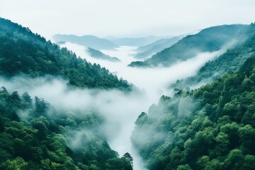 Obraz premium Misty valley landscape at dawn revealing lush green forests and rolling hills with low clouds in a serene atmosphere