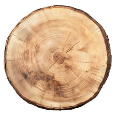 Obraz premium Top view smooth cross section tree stump slice with age rings wood grain isolated on white background.