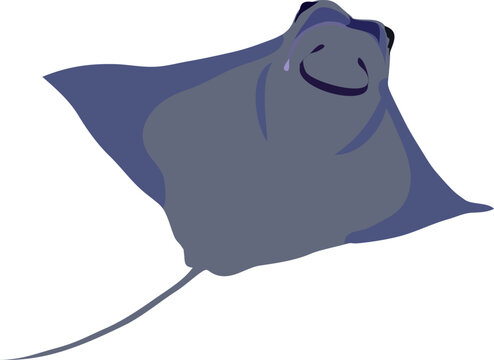 mantarraya which is translated as stingray or giant stingray